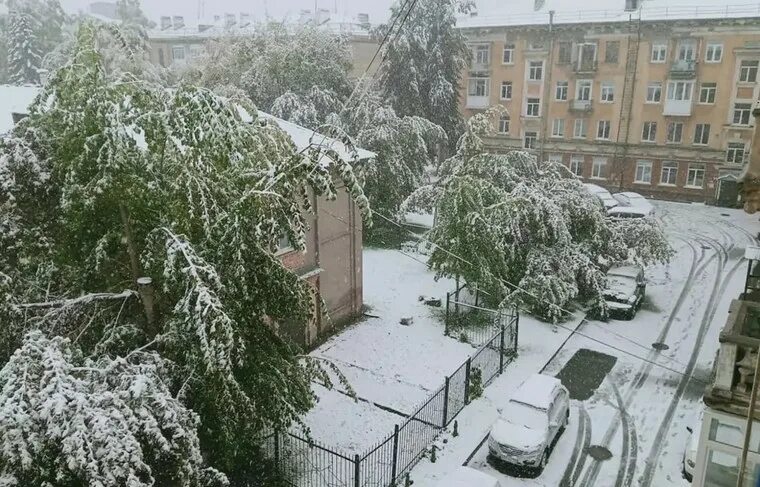 В Кемерово выпал снег. Первый снег Кемерово. Снегопад в Кемерово. Первый снег в Новосибирске.