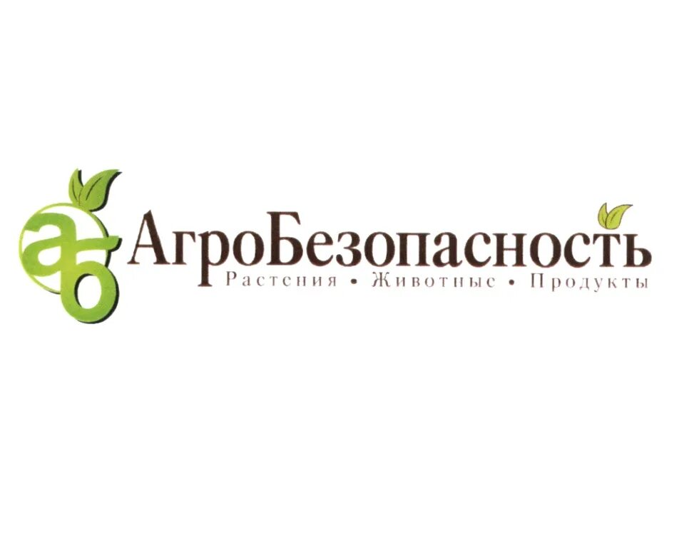 Направление успеха. Сайт производственной фирмы. Фабрика мебели успех. Ооо. Успех торговой марки.