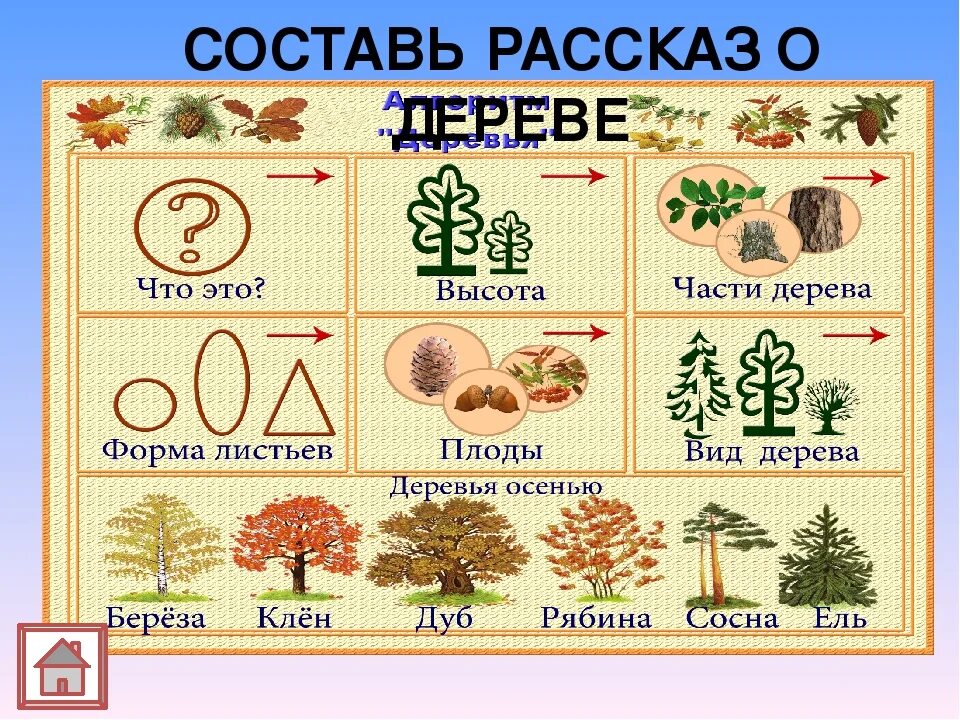 Схема описания осени. Схема описания дерева. Схема рассказа о дереве. Расскажика деревья. Мнемотаблица деревья и кустарники.