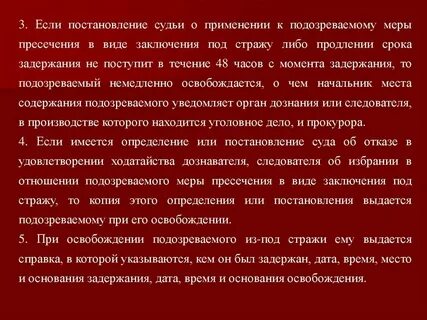 Заключение по стражу упк
