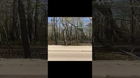 240 video
