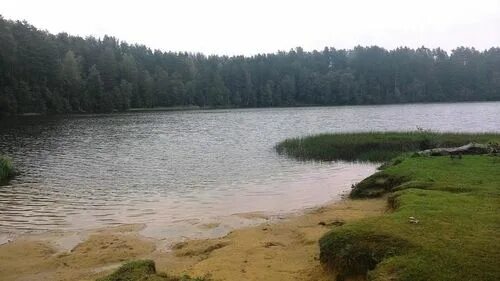 67 км орехово. Гряда вярямянселькя экотропа. Осиновское озеро 69 км. 69 км озеро. 69 км озеро.