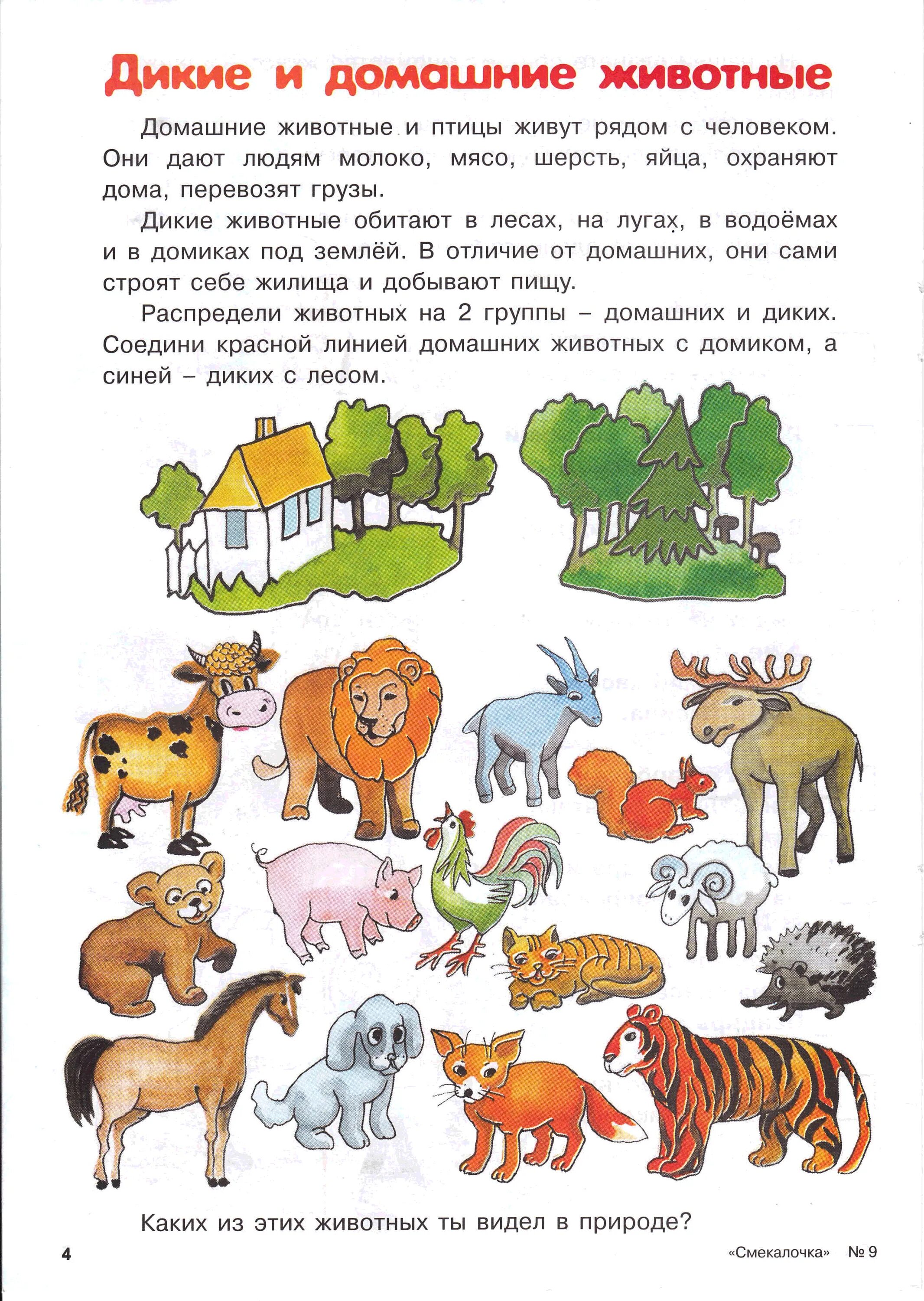 Про диких и домашних. Дикие животные домашнее задание логопеда. Логопедическое домашнее задание Дикие животные для малышей. Задание домашние животные для дошкольников задачи. Домашнее задание логопеда по теме Дикие животные.