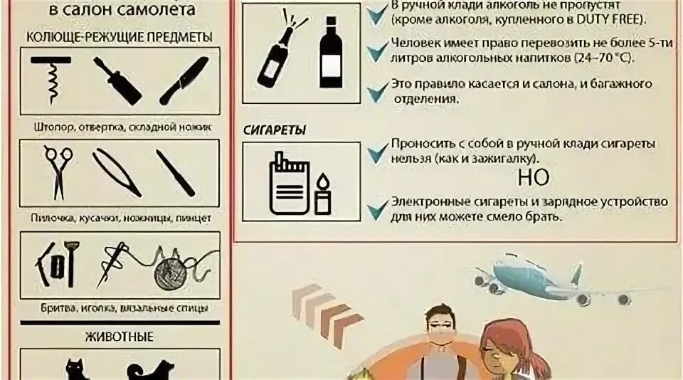 Можно брать плойку в ручную кладь