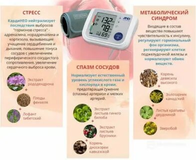 Кардинео состав