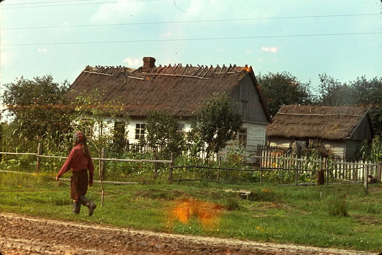 Жизнь в деревнях ссср. Советская деревня Кучеряново. Деревня СССР. Лето в деревне советские. Советский Союз деревня.