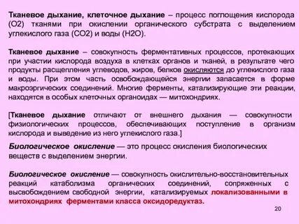 Процесс тканевого дыхания
