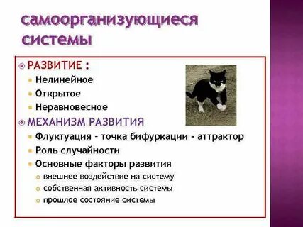 Самоорганизующиеся системы философия