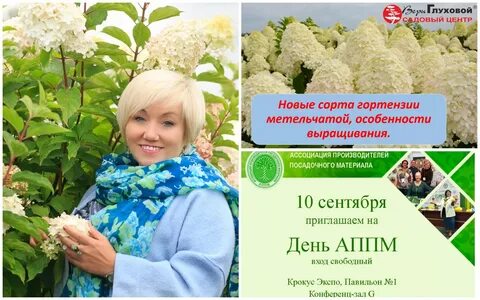 Питомник веры глуховой каталог на 2024 год