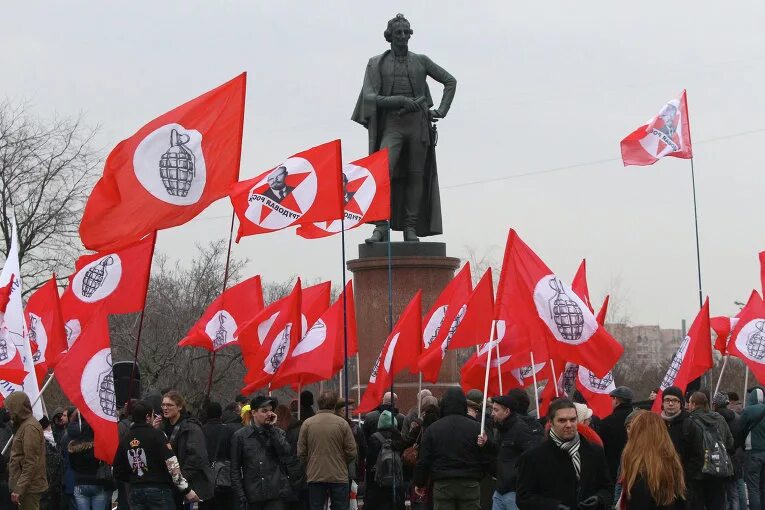 Другая партия России партия Лимонова. Партия Эдуарда Лимонова другая Россия. Другая Россия партия флаг. Флаг партии Лимонова.