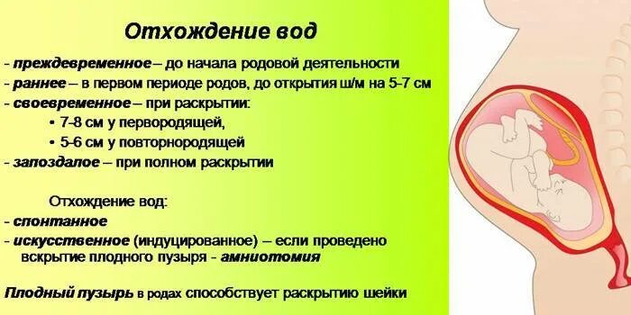 Воды отошли а схваток нет что делать. Пробка при беременности. Беременна в воде.