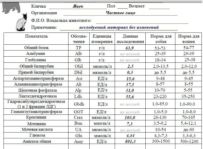 Алт у котов. Алт АСТ амилаза норма. Алт норма ммоль. Алт АСТ норма ммоль/л. Норма алт в ммоль/л в крови.