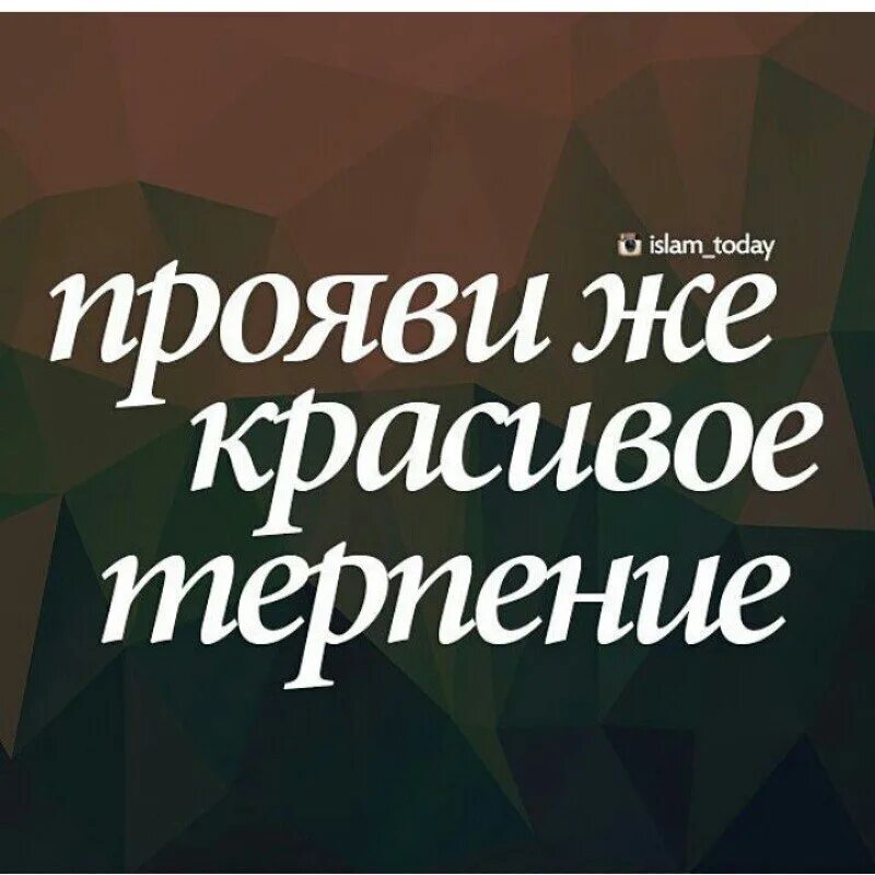 Прояви же красивое терпение. Прояви же прекрасное терпение. Прояви же красивое терпение 70 5. Обои прояви же красивое терпение. Прояви же красивое