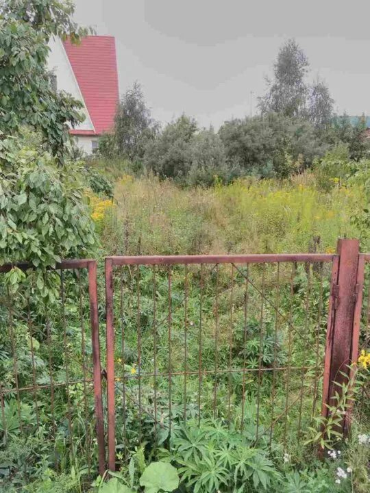 Снт учитель участки. Калуга снт учитель. Снт учитель участки. Снт сосновый зубцово дача. Снт учитель участки.