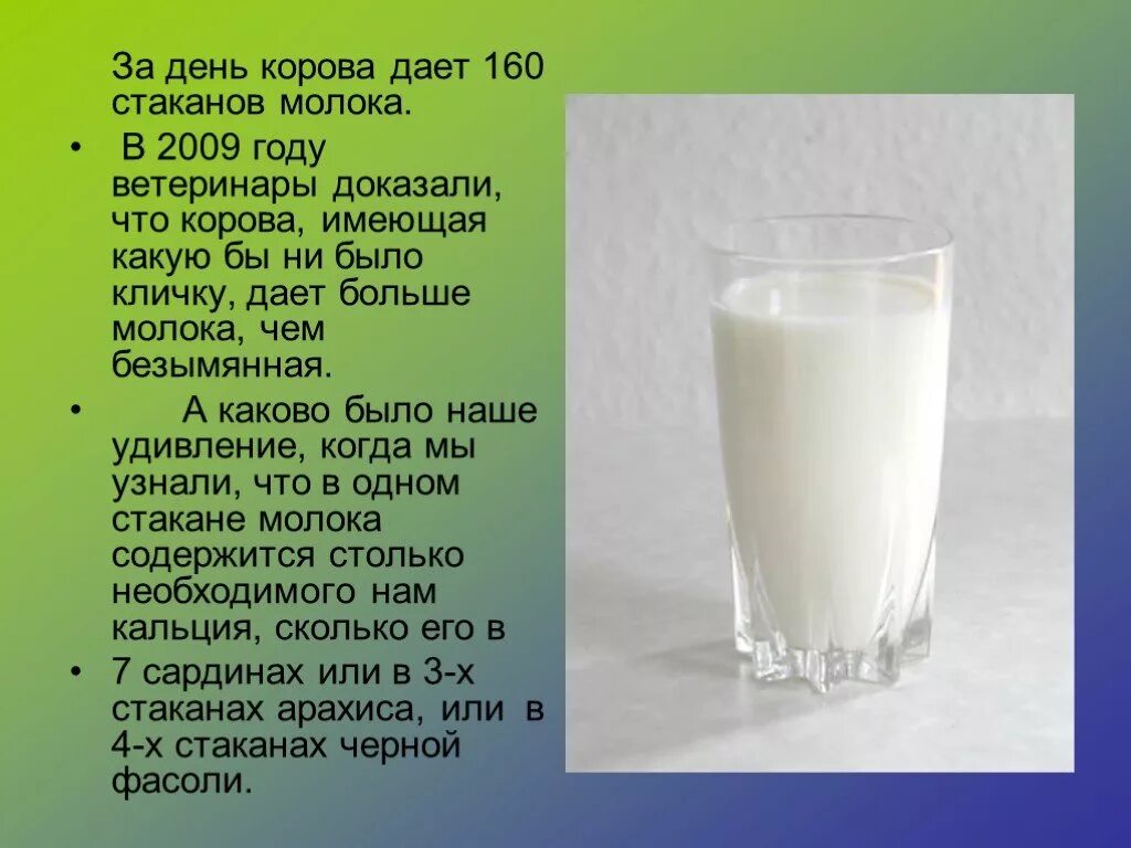 Ответить молоко. 1 Стакан молока. Сколько корова дает молока в сутки. Что дает корова. Один стакан молока это.