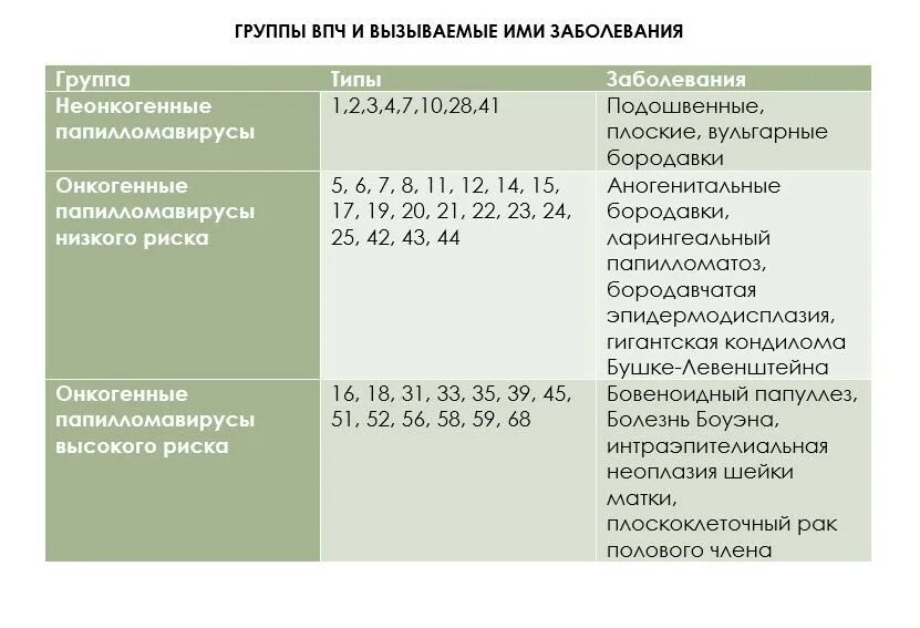 Вирус папилломы ВПЧ 16 типа. Генотип ВПЧ 58 Тип. Генотип вируса это