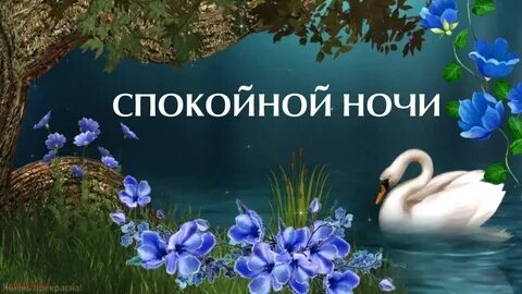 Открытки спокойной ночи с природой новые