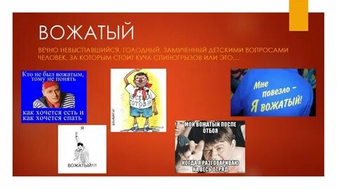 Вожатый это