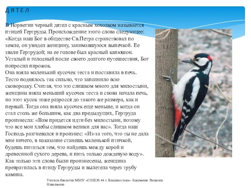 Какой зверь по народной норвежской легенде. Легенда о животных. Легенды о животных 2 класс. Черный дятел с черным хохолком. Дятел в Норвегии.