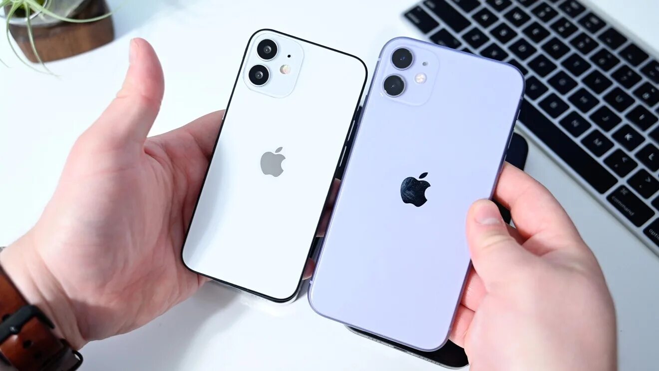 Iphone 12 сравнения. Iphone 11 vs 12 Mini. Iphone 12 vs 12 Mini. Iphone 12 Mini и iphone 11. Iphone 12 Mini vs 6s.