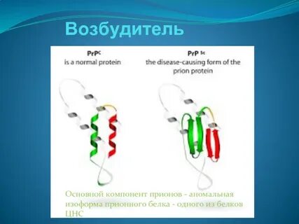 Новый возбудитель
