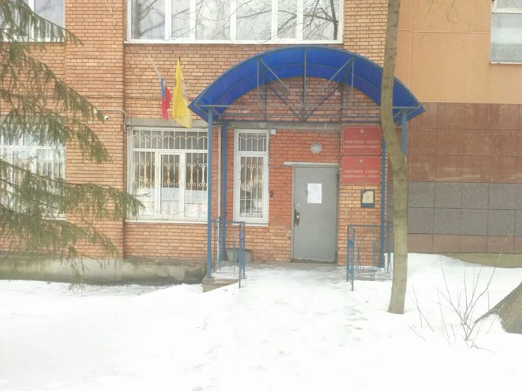 Мировые судьи пенза участок 1. Судьи пензы. Ивашкина судья бессоновка. Мировые судьи пенза участок 1. Рофель судья пенза.
