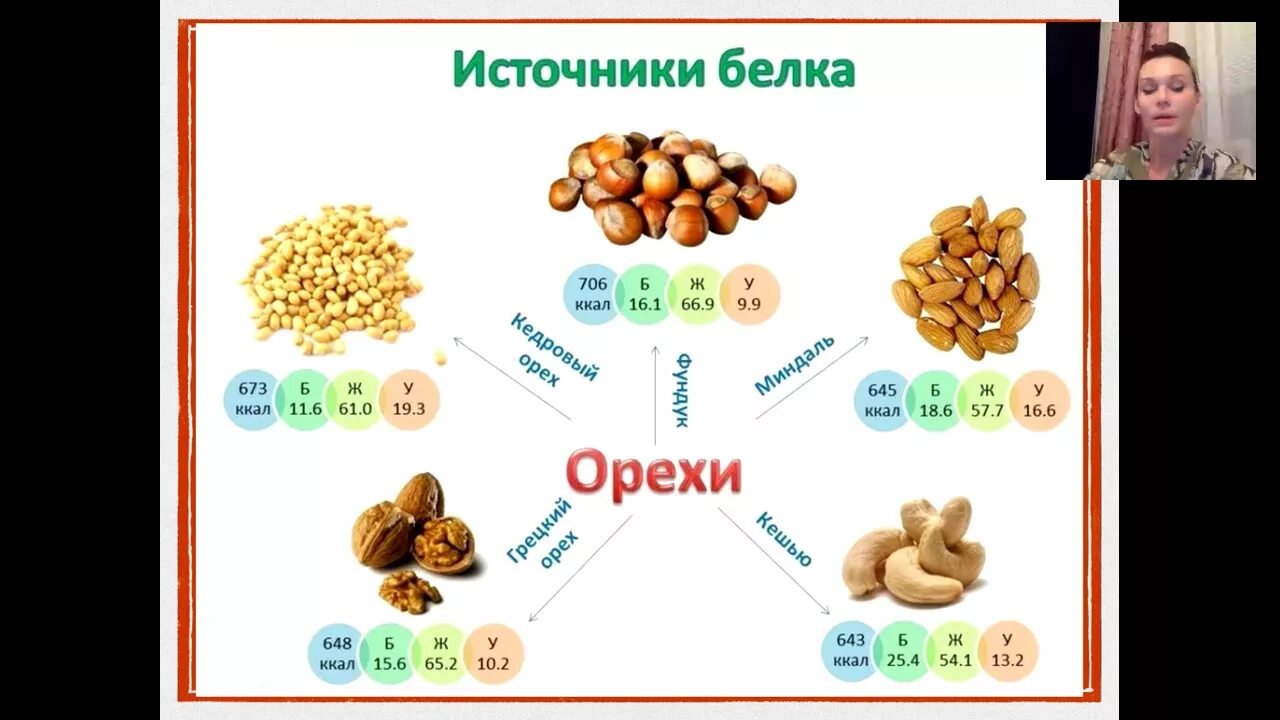 Орехи содержат белок. Белковые орехи. Содержание белков в орехах. Белок в орехах. Самые белковые орехи.