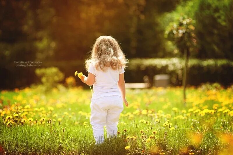 фраза дня мотивирующая. афоризмы мотивация утром. каждый день новое начало. каждый день новое начало. высказывания с добрым утром.