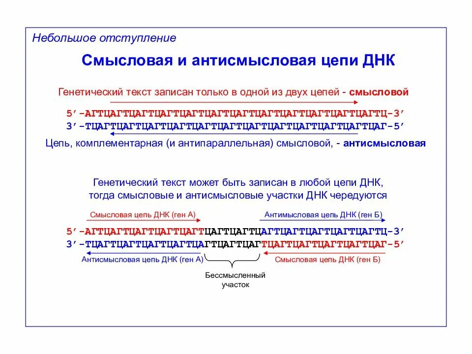 Кодирующая цепь днк имеет последовательность. Транскрипция ИРНК. Транскрипция ДНК И РНК. Транскрипция ДНК В ТРНК. Смысловая цепь ДНК.