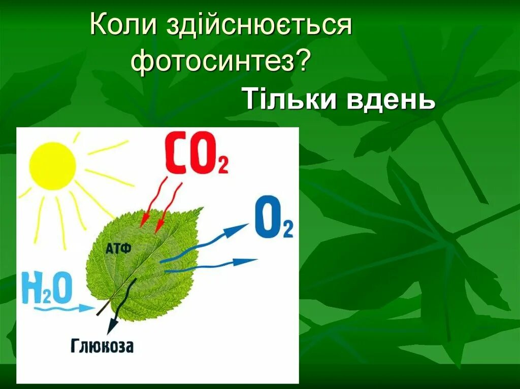 Биология 6 класс фотосинтез ответы на вопросы. Фотосинтез. Фотосинтез схема. Ребус фотосинтез. Фотосинтез листка.