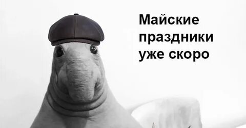 Жду положительного решения