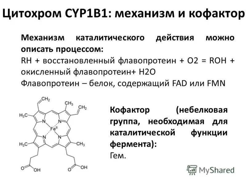 Ингибиторы цитохрома