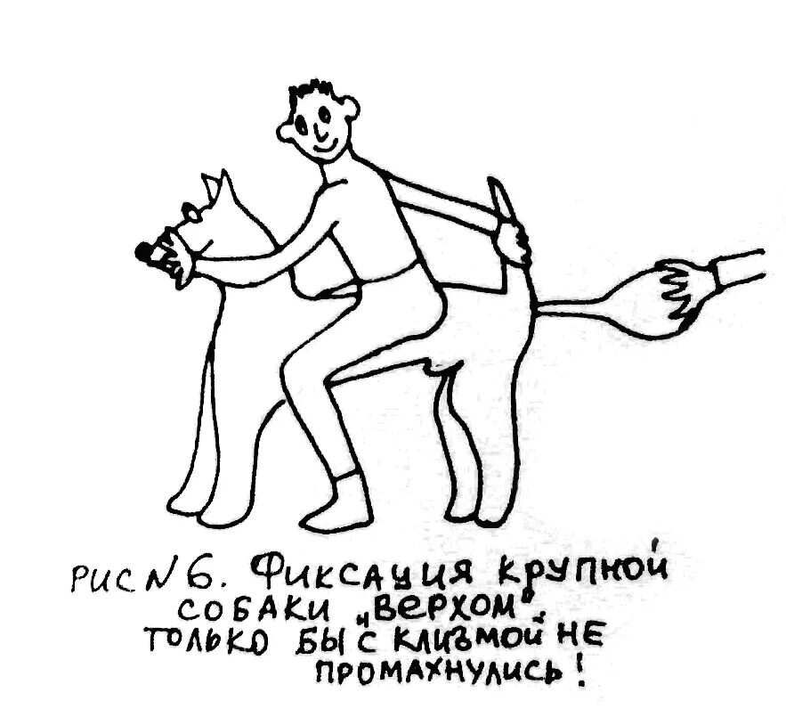 Ректальное введение лекарств животным. Можно собаку делать клизму. Как сделать клизму собаке. Как делать клизму собаке. Очистительная клизма собаке.