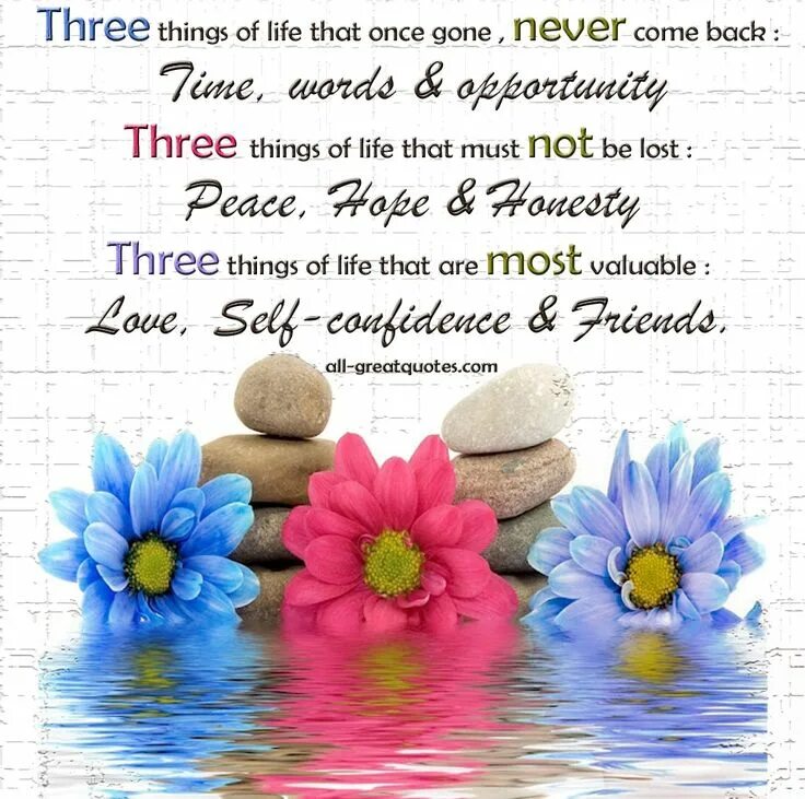Much that come. Three things. Thing Life. Three things in Life quotes. The best things in Life are not things.