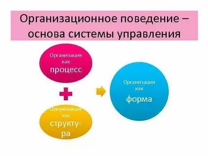 Их основе многие особенности их
