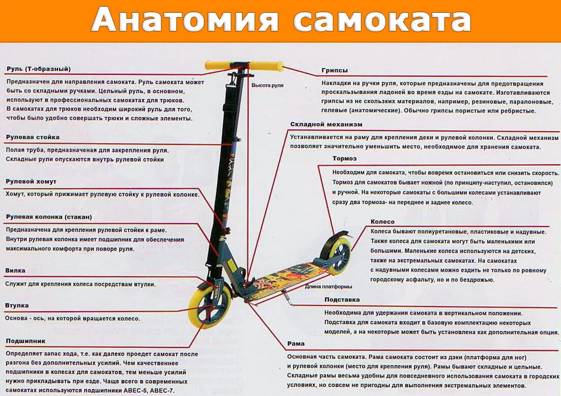 Можно ли в самолет самокат. Сборка руля трюкового самоката. Чертеж руля для трюкового самоката. Схема сборки подшипников руля трюкового самоката. Название деталей самоката.