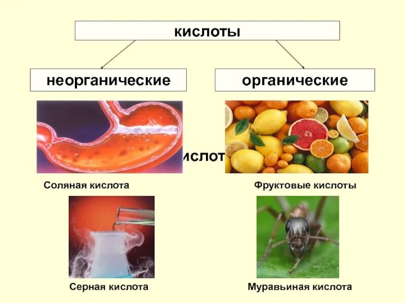 Тест неорганические кислоты