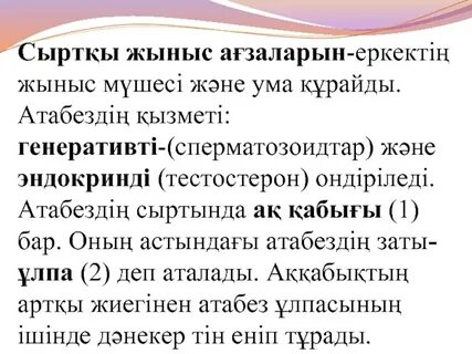 Жасырын камера секс ағасы мен әпкесі