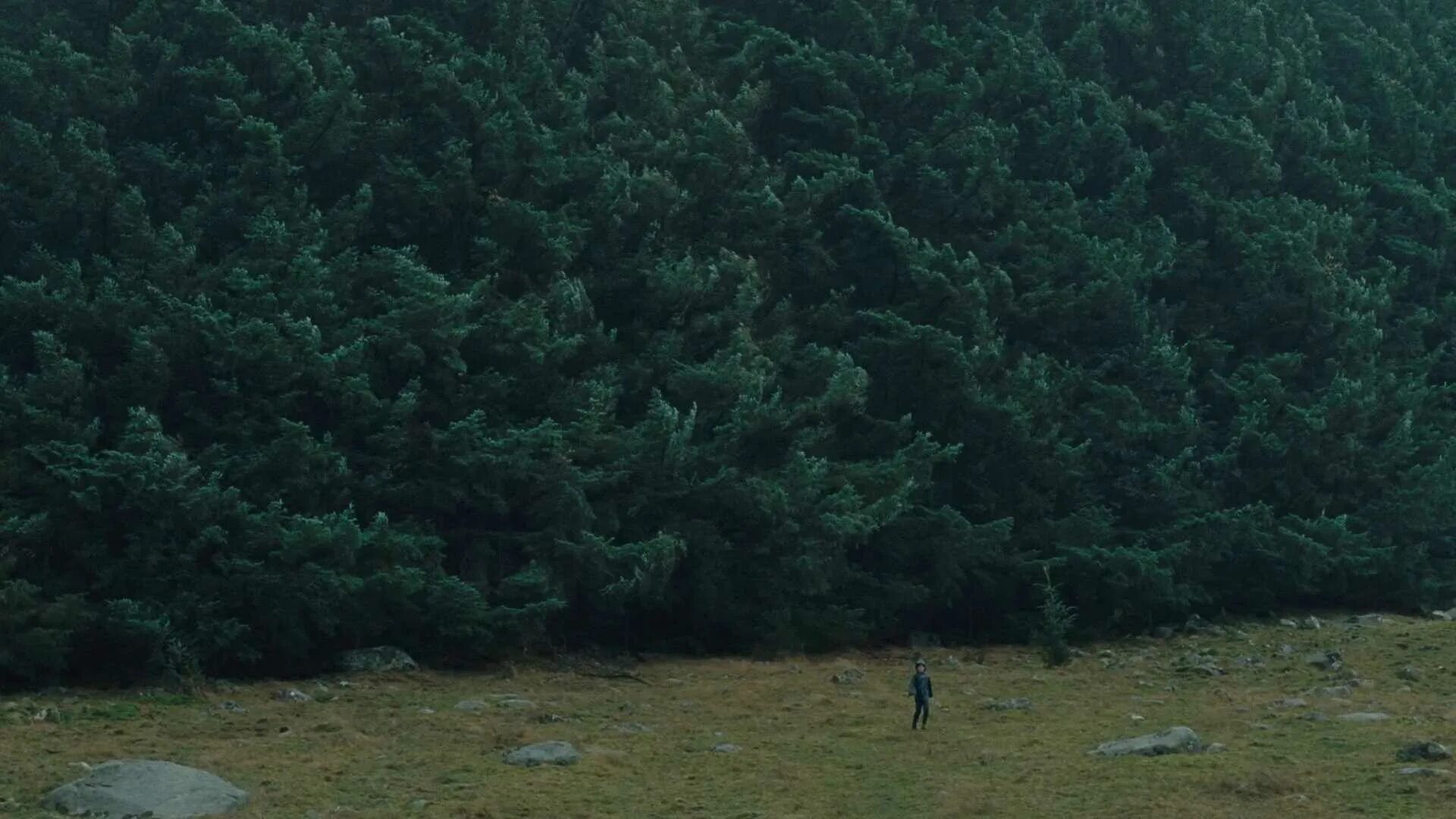 долина теней 2023. долина теней - skyggenes dal. долина теней - skyggenes dal. скотт чинчин. долина теней valley of shadows skyggenes dal (2017).