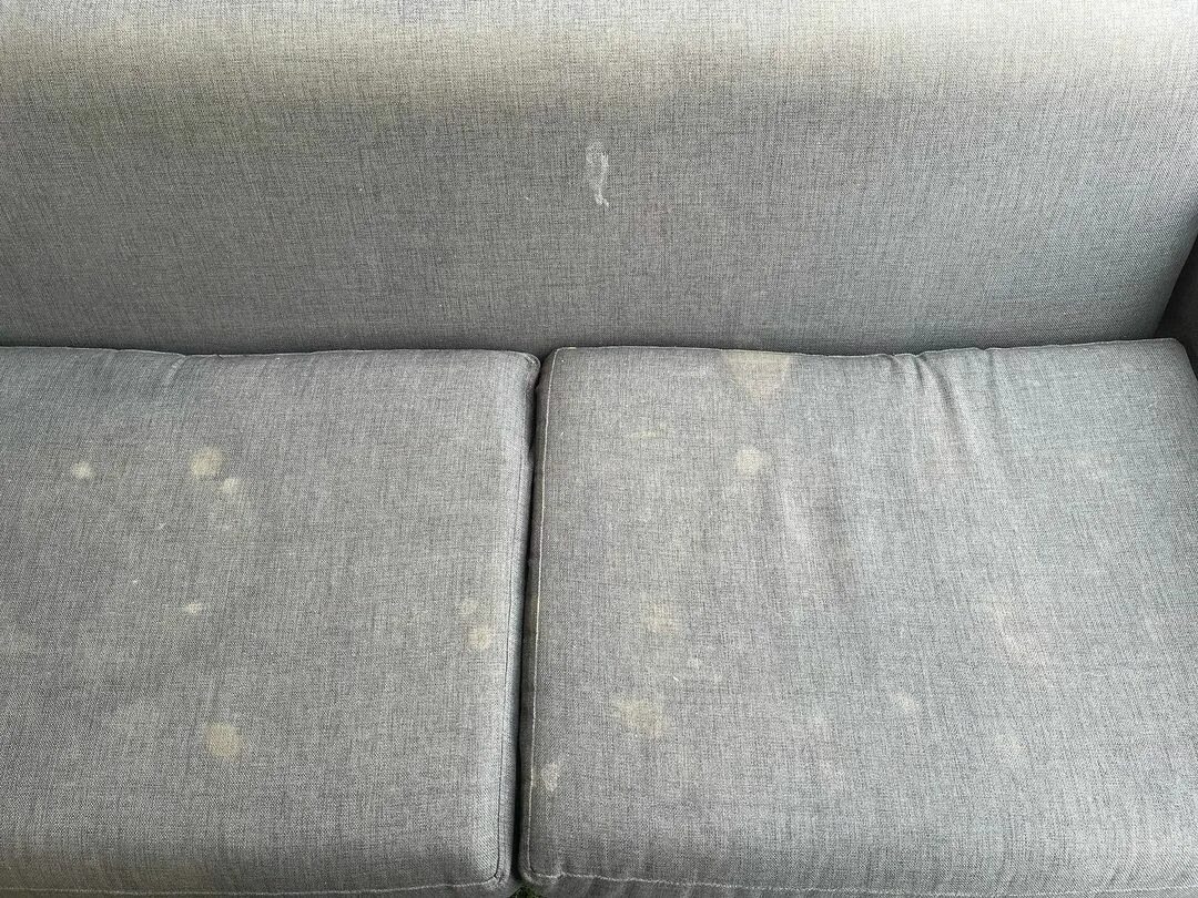 Como quitar manchas de orina seca sofá