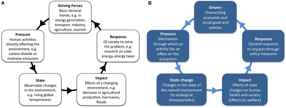 Human Impact on the environment. Impact on Human activity. How Human activities Impact environment. Human Impact on nature.