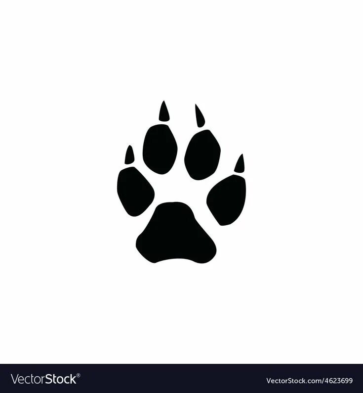 Art Prints & Printed Wall Decor Society6 Wolf paw print, Wolf paw, Wolf paw tatt