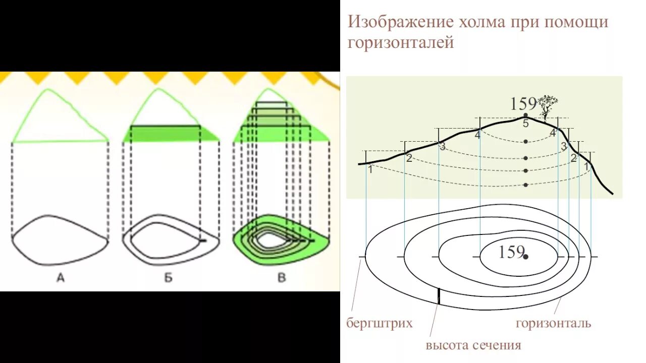 Берг штрихи. Изображение холма горизонталями. Земная поверхность на плане и карте. Изображение неровностей земной поверхности на плане. Земная поверхность на плане и карте 2.