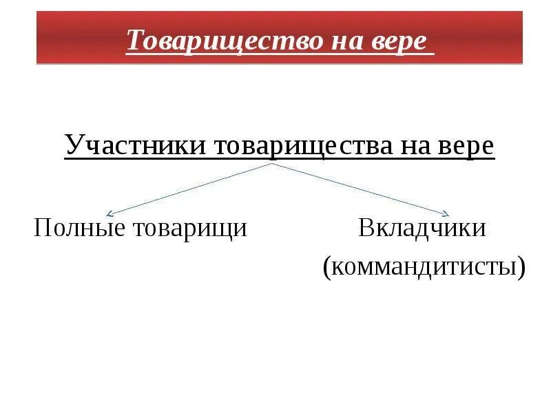 Структура товарищества на вере. Вкладчик товарищества. Товарищество на вере участники. Вкладчики товарищества на вере. Товарищество на вере участники.