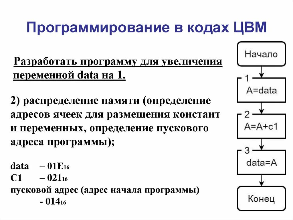 Программирование в кодах. Базовые знания программирования. Определение переменной в программировании. Процесс программирования.