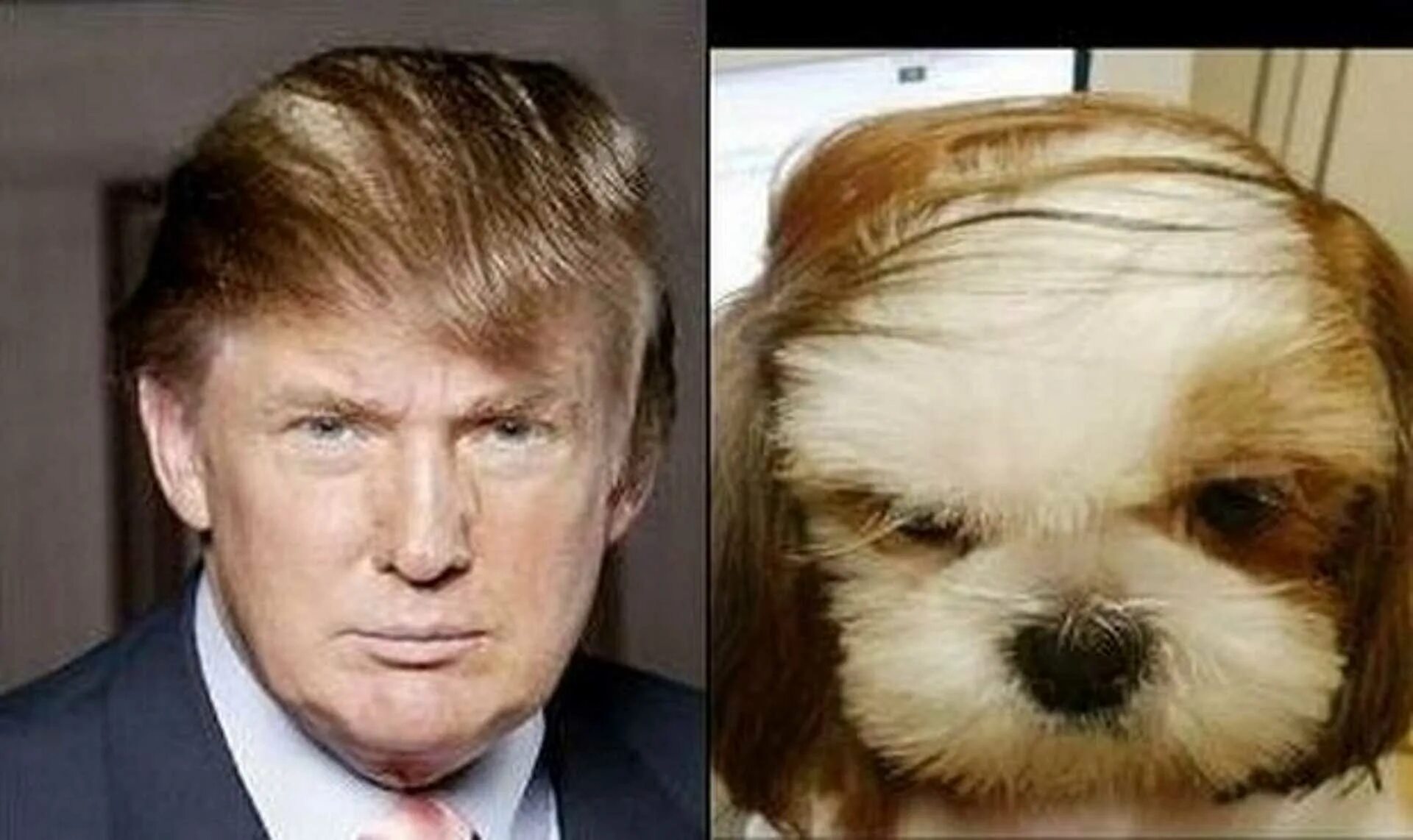 Ну не похож