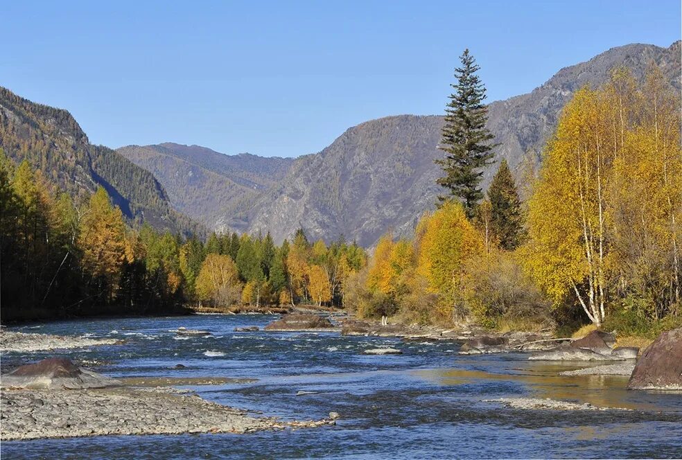 чоя республика алтай. чоя республика алтай. чойский район село чоя. уймень республика алтай чойский район. погода в чое алтай на 10 дней.