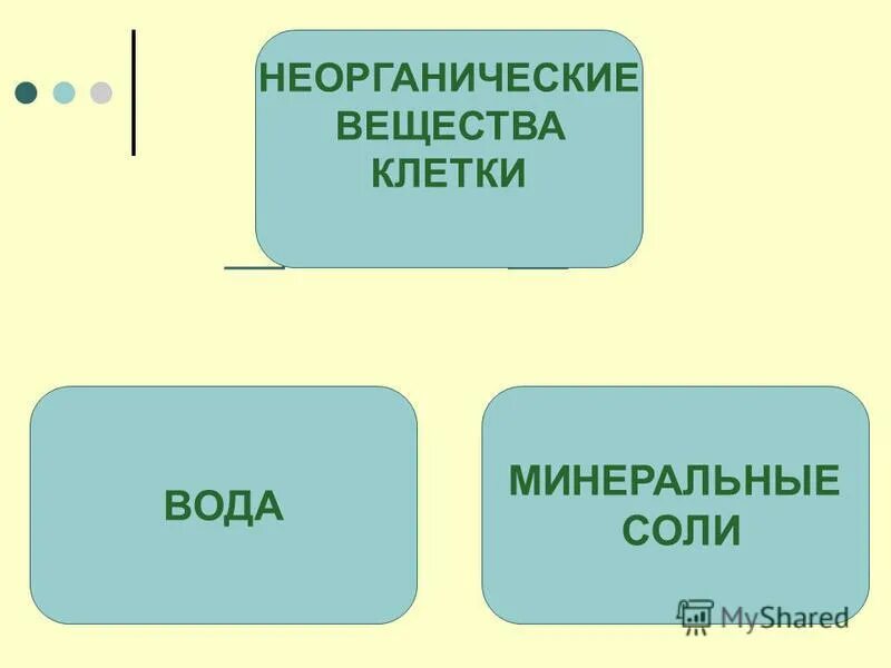 Неорганические вещества вода и минеральные соли. Неорганические вещества клетки. Неорганические вещества клетки вода и Минеральные соли. 3. Неорганические вещества клетки: вода и Минеральные соли.. Неорганические вещества клетки Минеральные соли.