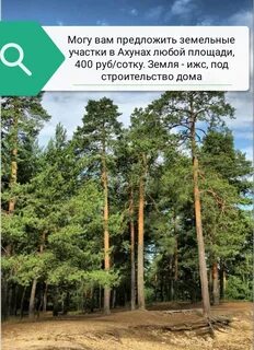 Леса ступино