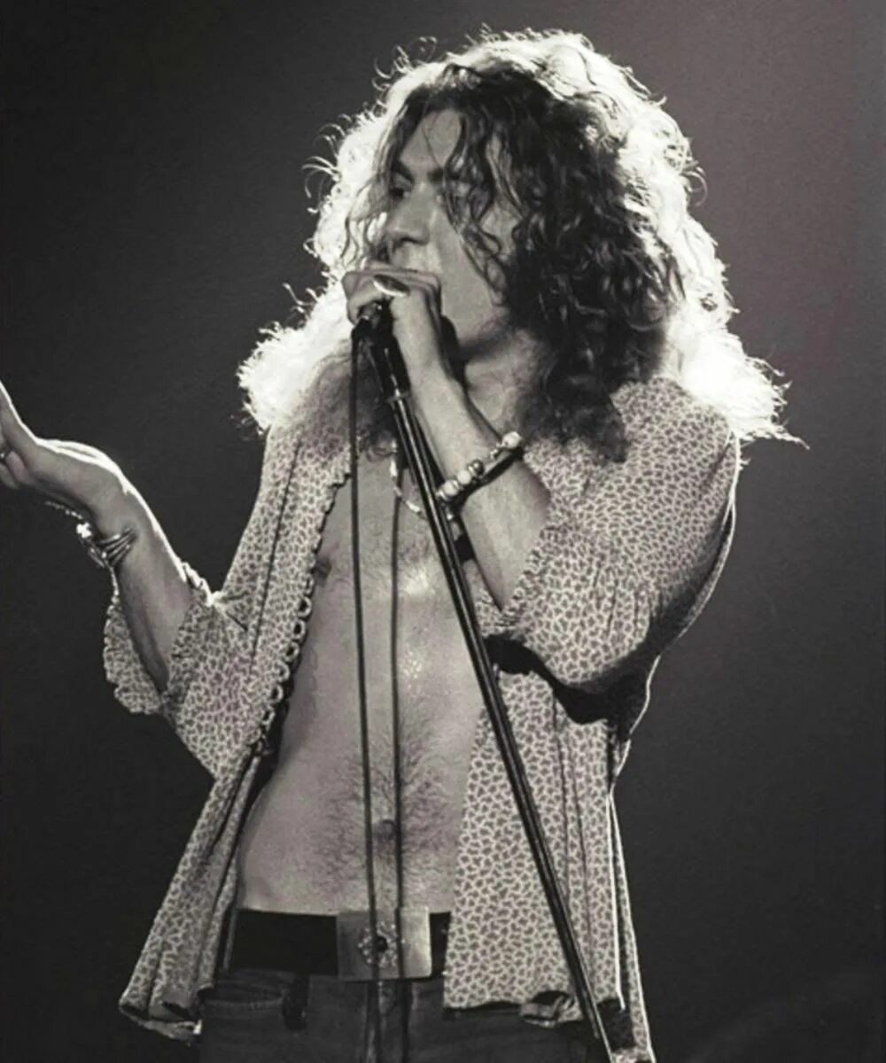 Солист лед зеппелин. Роберт плант. солист led zeppelin. плант лед зеппелин. лед зеппелин солист роберт плант.